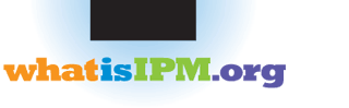 what is ipm.org
