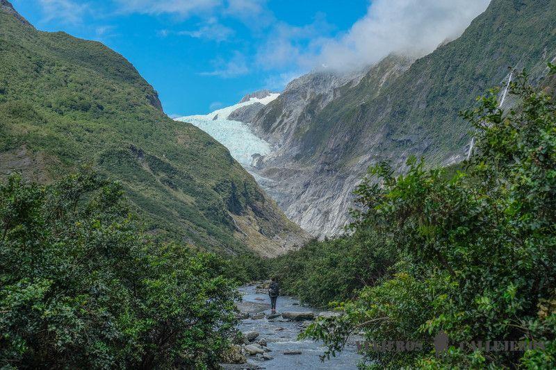Glaciar Franz Josef